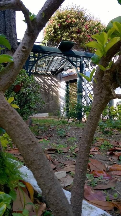 איסקיה Villa Iscla Maison D'Hotes מראה חיצוני תמונה