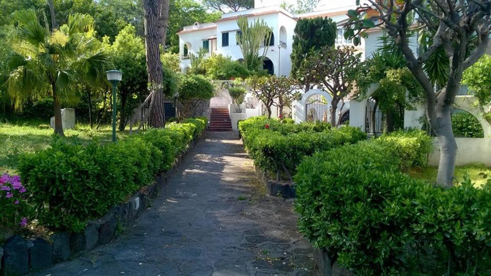 איסקיה Villa Iscla Maison D'Hotes מראה חיצוני תמונה